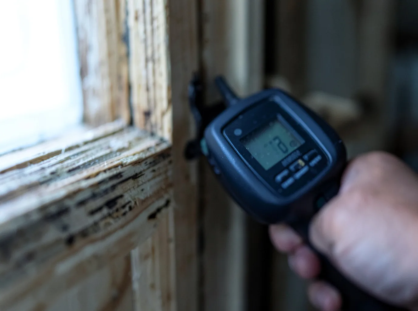 Moisture Inspection And Documentation in Vernonia, OR